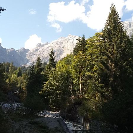 Appartmenthaus Hochkoenig Mühlbach am Hochkönig Dış mekan fotoğraf