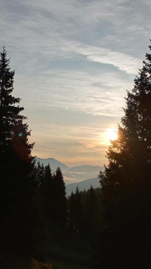 Appartmenthaus Hochkoenig Mühlbach am Hochkönig Dış mekan fotoğraf