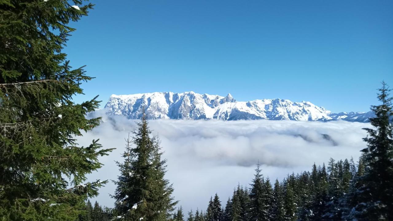 Appartmenthaus Hochkoenig Mühlbach am Hochkönig Dış mekan fotoğraf