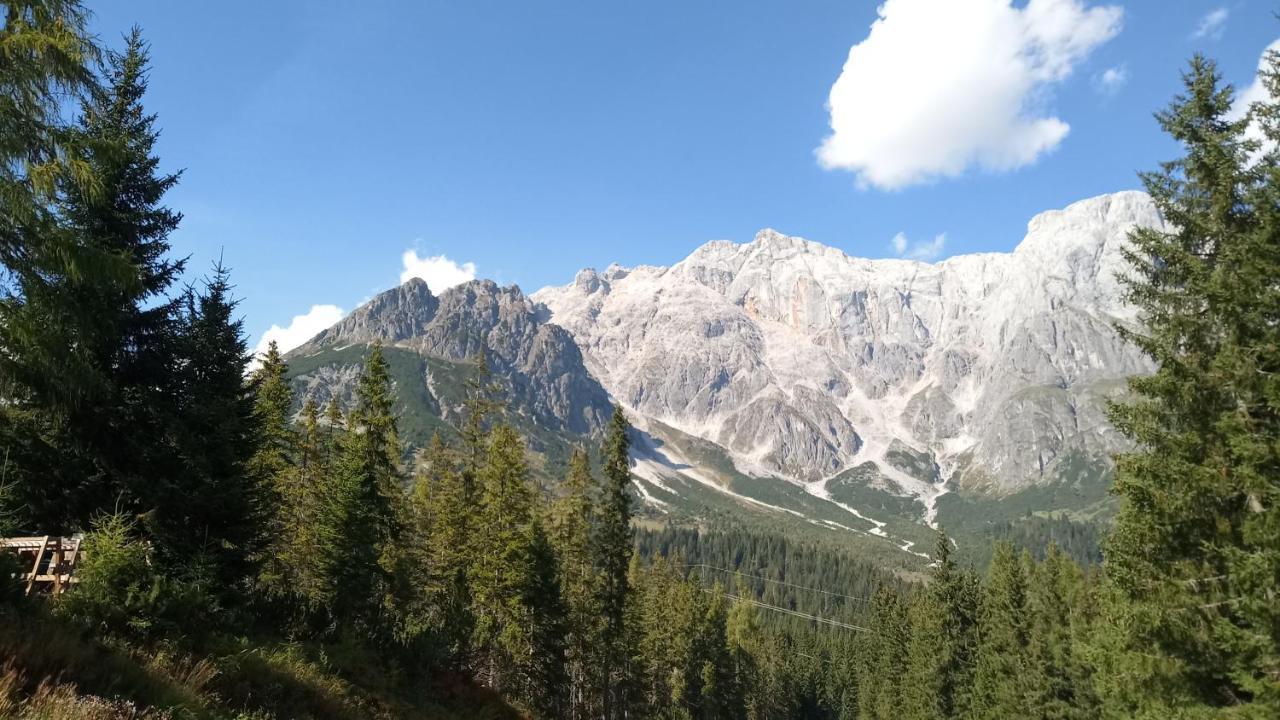 Appartmenthaus Hochkoenig Mühlbach am Hochkönig Dış mekan fotoğraf