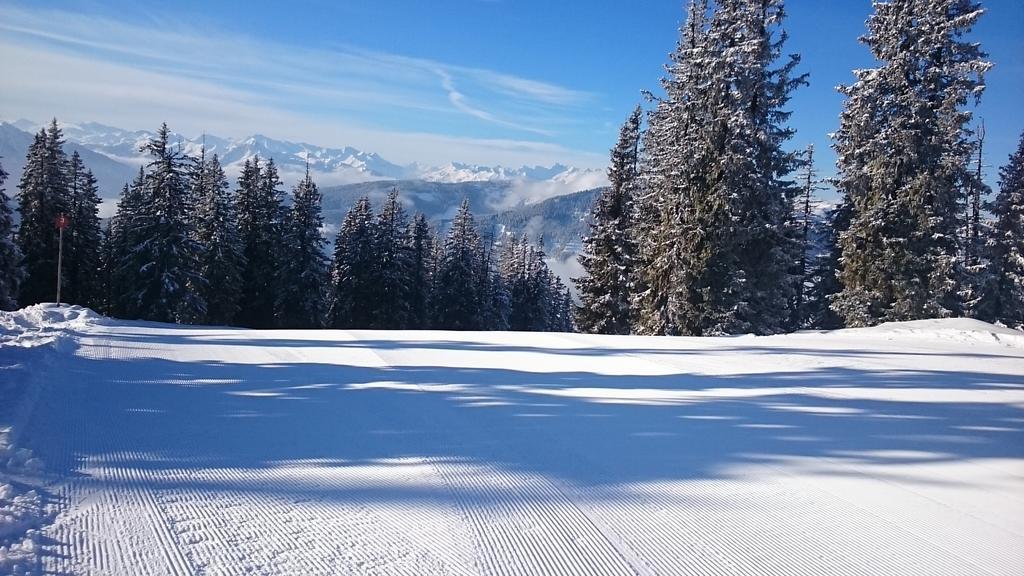 Appartmenthaus Hochkoenig Mühlbach am Hochkönig Dış mekan fotoğraf