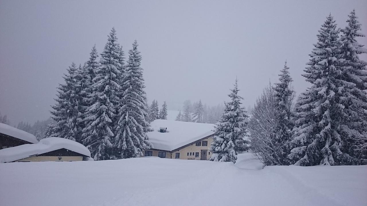 Appartmenthaus Hochkoenig Mühlbach am Hochkönig Dış mekan fotoğraf