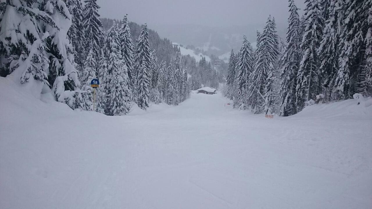 Appartmenthaus Hochkoenig Mühlbach am Hochkönig Dış mekan fotoğraf